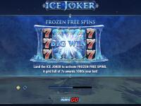 The presence of autoplay in Ice Joker slot makes everything easier