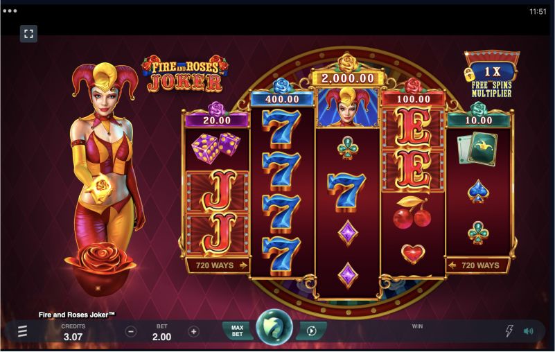 Main features of Fire and Roses game